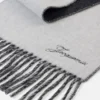 The Atelier scarf Long scarf with logo