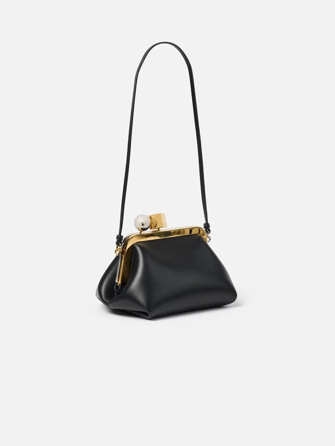 The Berlingot Small clasp bag The Berlingot Small clasp bag
