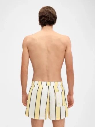 The Puntini swimsuit Striped swim shorts