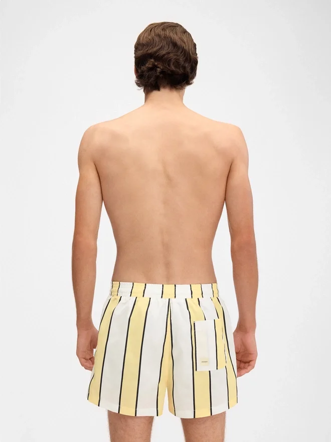 The Puntini swimsuit Striped swim shorts The Puntini swimsuit Striped swim shorts